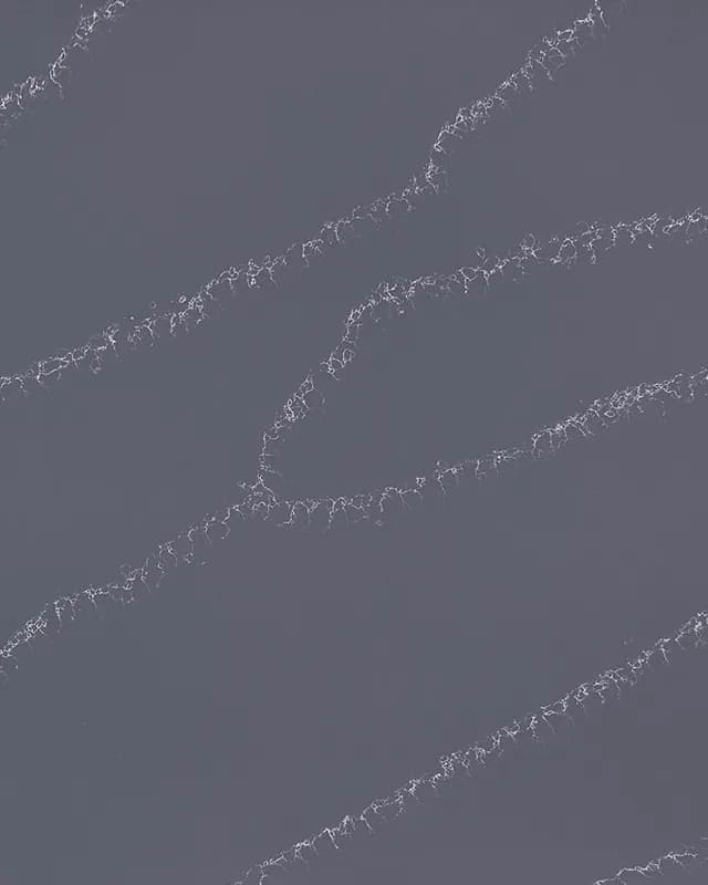 Grey Sonata