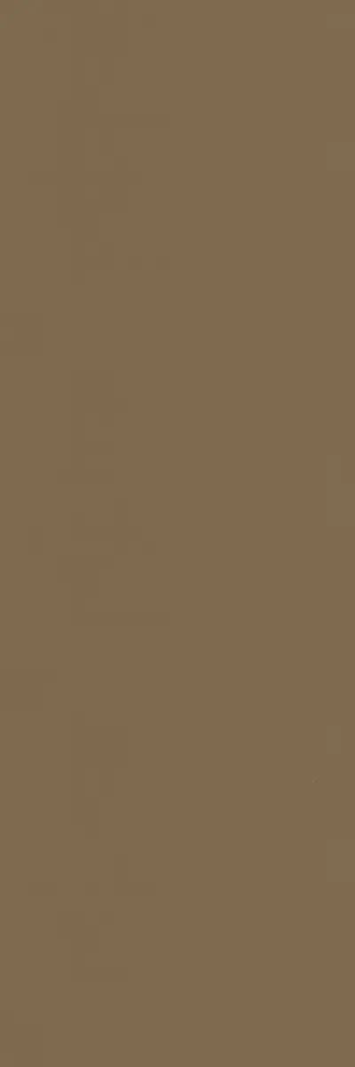 Granalt Mushroom Glossy