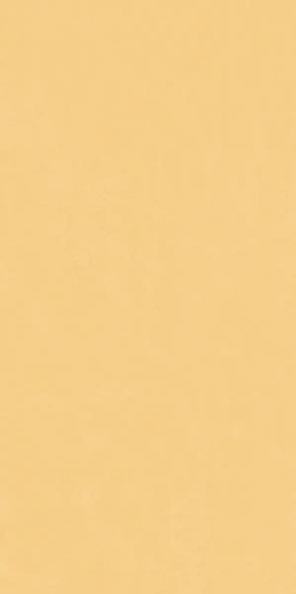 Mango Palette