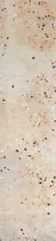 Speck Noon