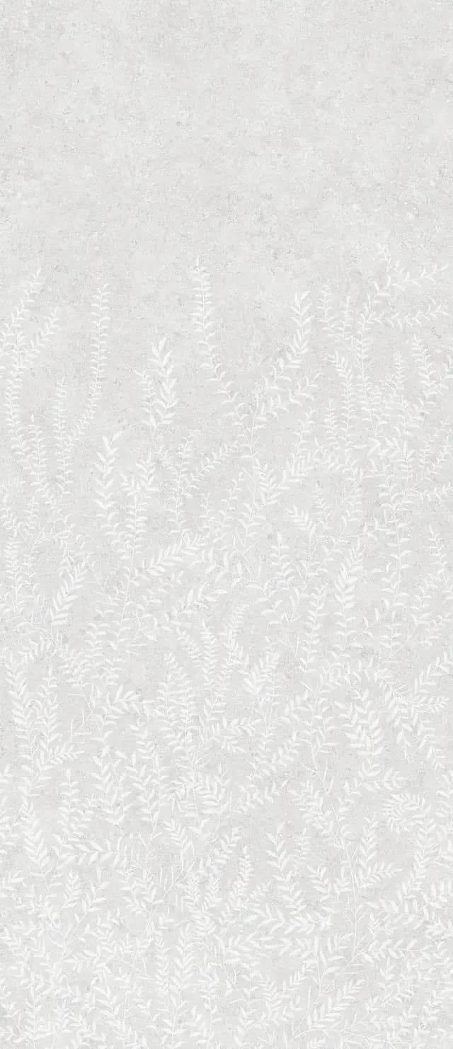 Fern
