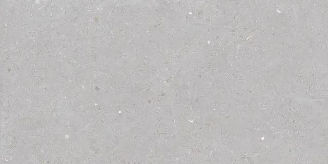 Fossil Dove