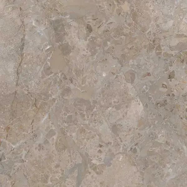 8101