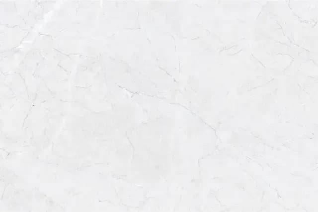 Burberry Dove