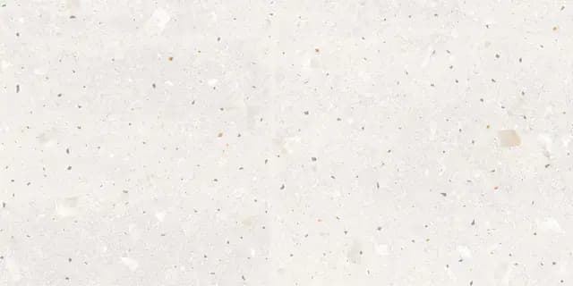 Toast