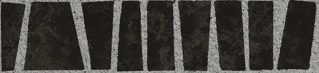 Zebra Black