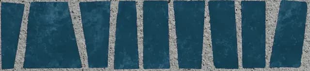 Zebra Blue