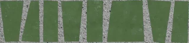 Zebra Green