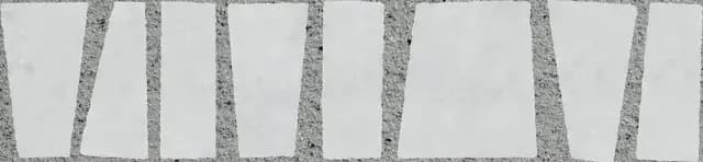 Zebra White