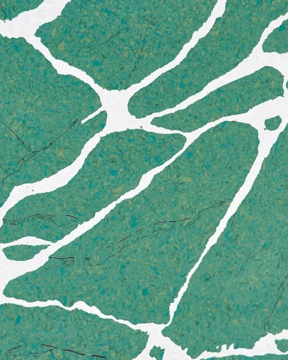 Verde Botanic Classico