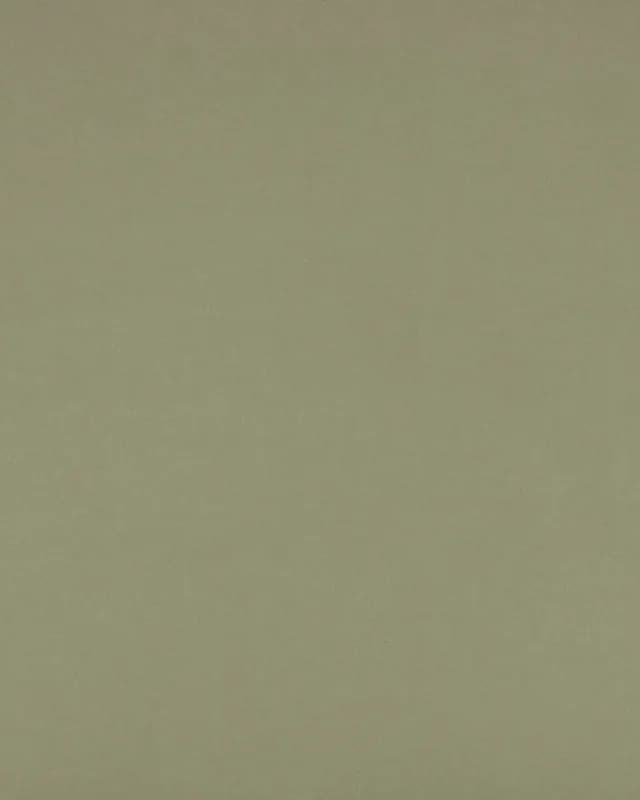 Desert Brown