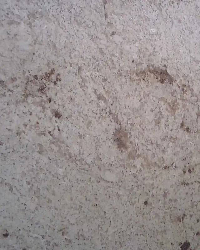Colonial Cream