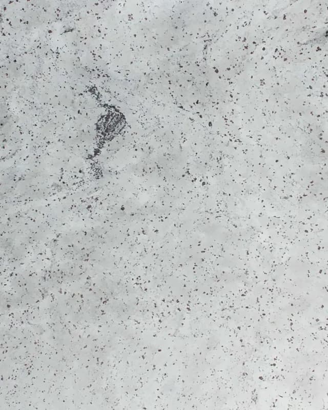 Titanium White