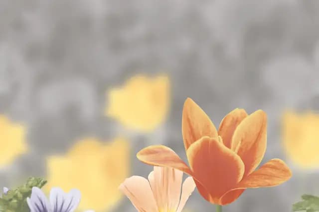 SHG Butterfly Flower Top HL