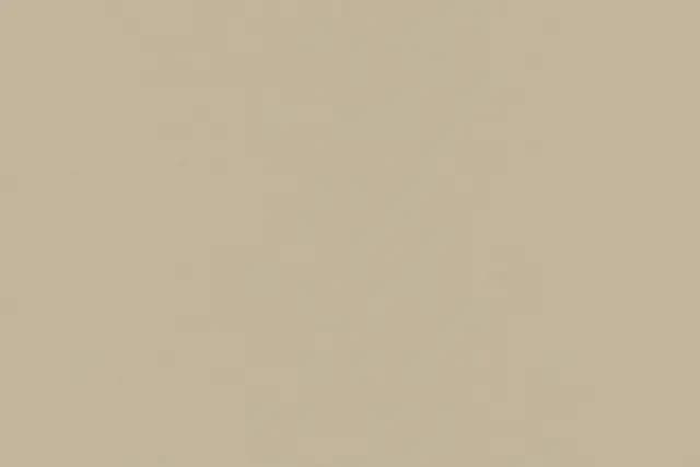 SBG Beige DK Grainy