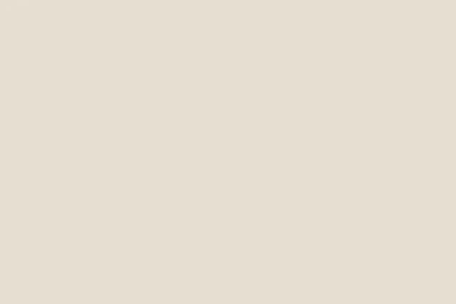 SBG Beige LT Grainy