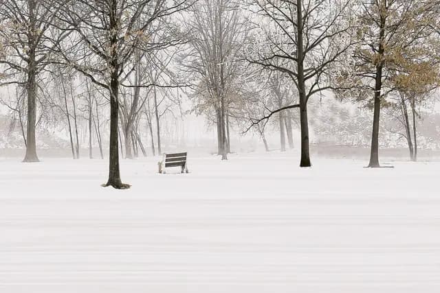 SHG Winter Bench Snow Bottom HL