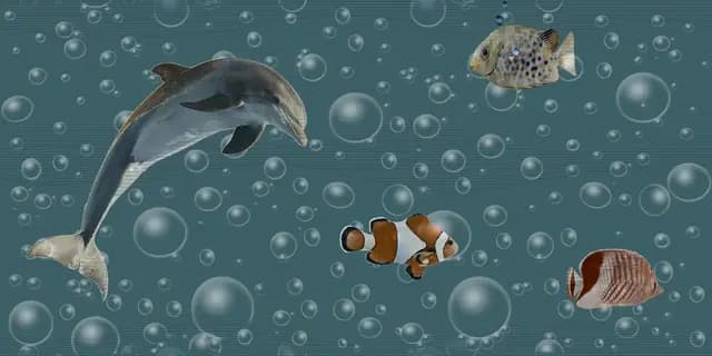 SHG Sea Fish HL