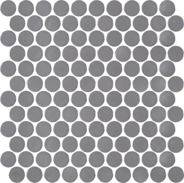 Grey Gloss Coin