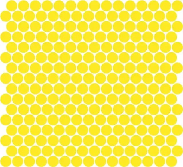 Lemon Gloss Penny Round