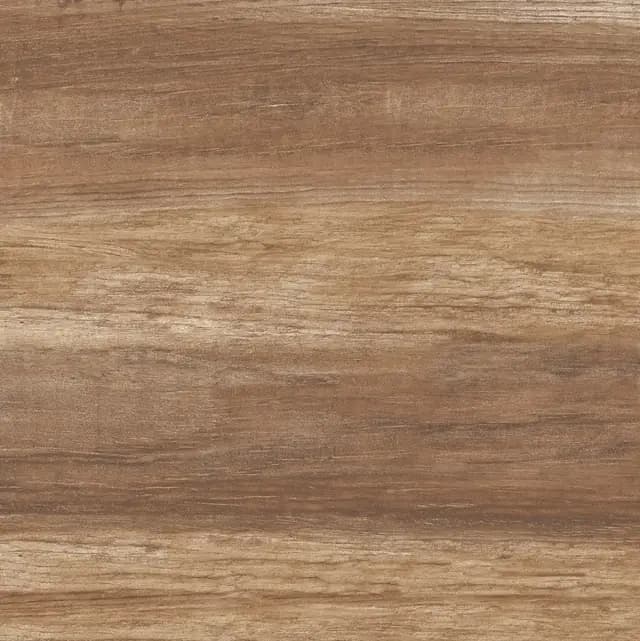 Orientbell FT-Autumn collection