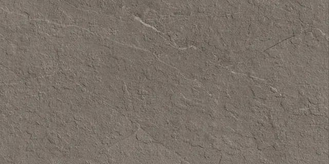 Slate Punch Fossil