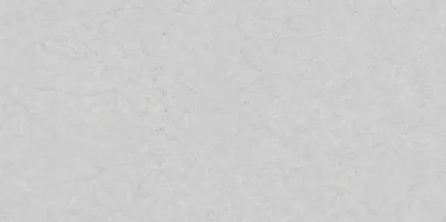 DR Gunmetal Fossil Endless Gloss