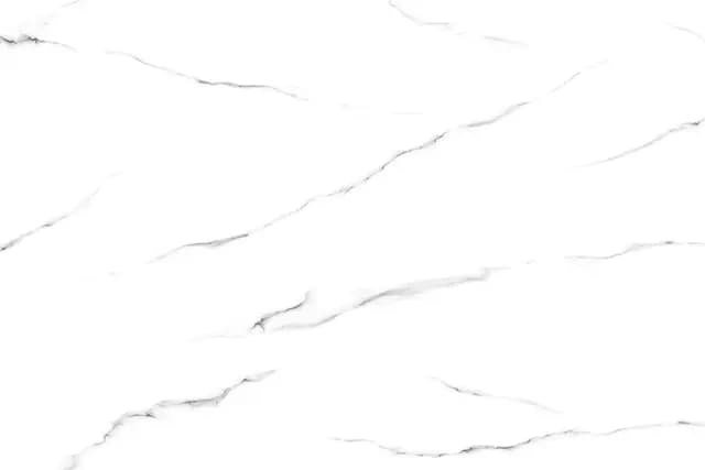 1143 Arctic Vein SBG Nevo