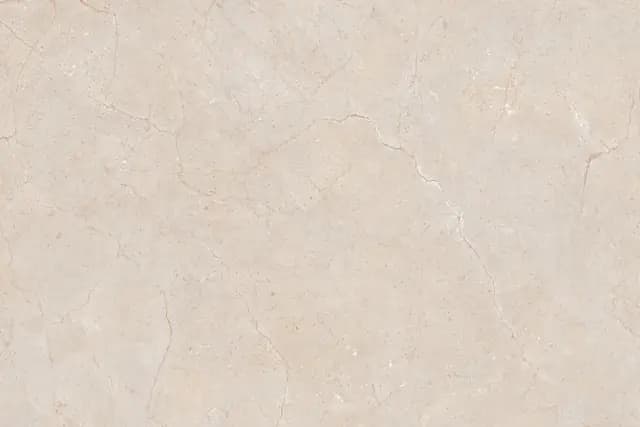 1165 Vanilla Desert SBG Nevo