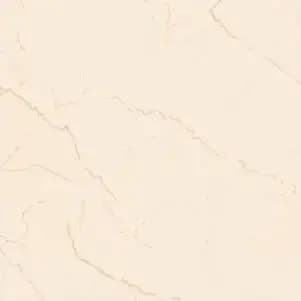 Panama Ivory