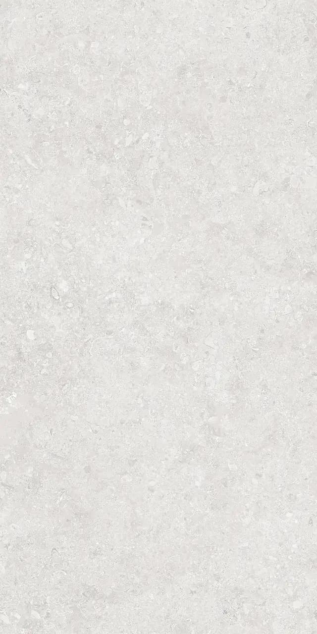 Onega Silver