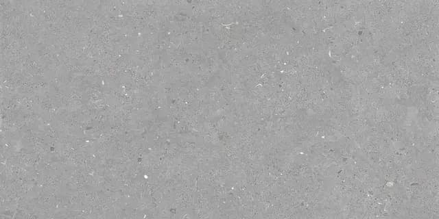Fossil Grey