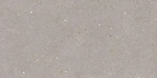Fossil Mud