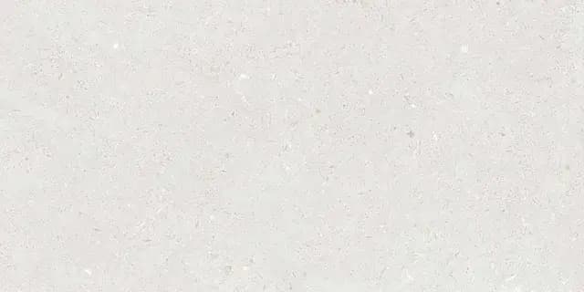 Fossil Silver
