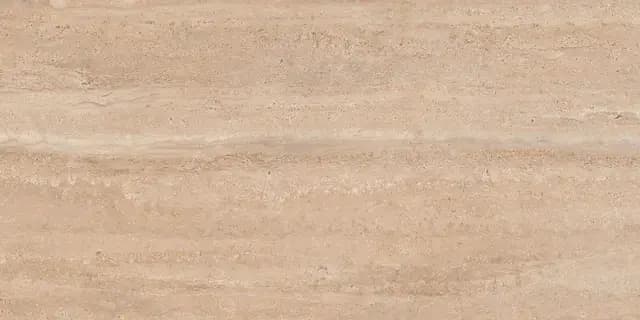 Trasore Camel