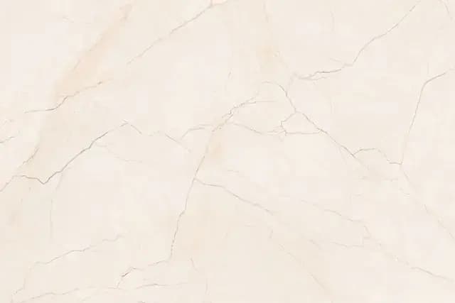 Stelo Blush