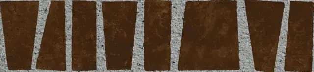 Zebra Brown