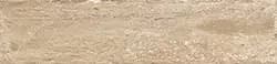 Trunk Beige