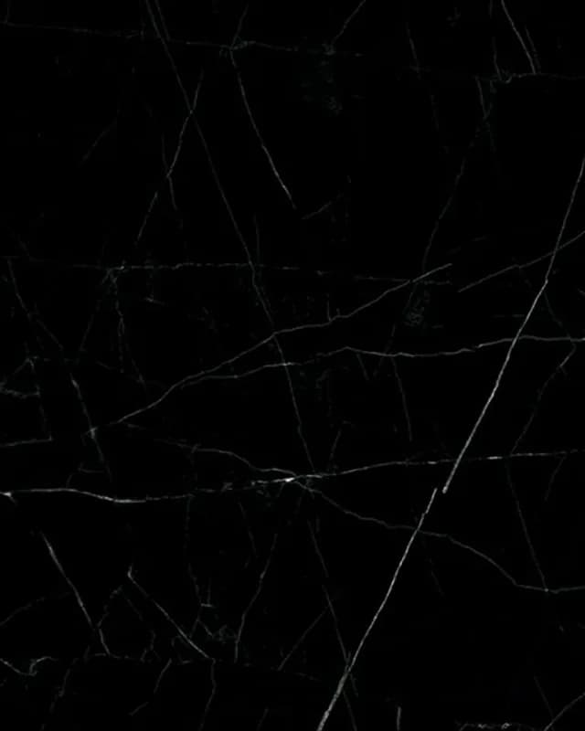 Belgium Black Orra