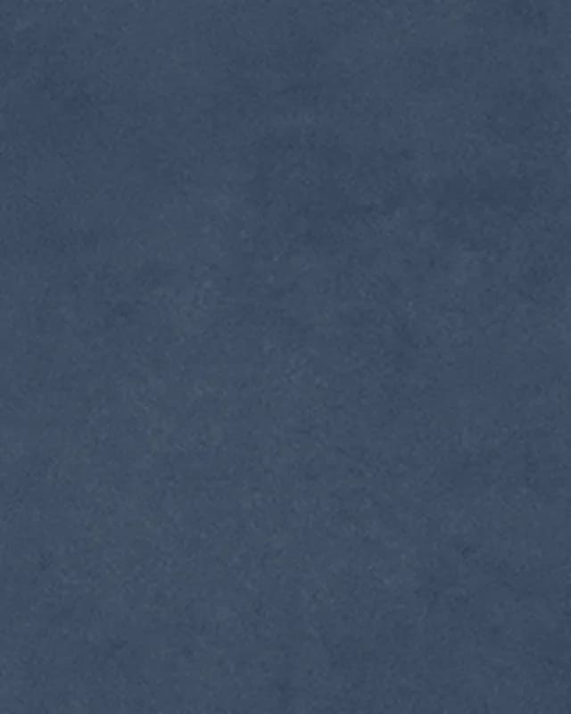 Pigmenta Blue