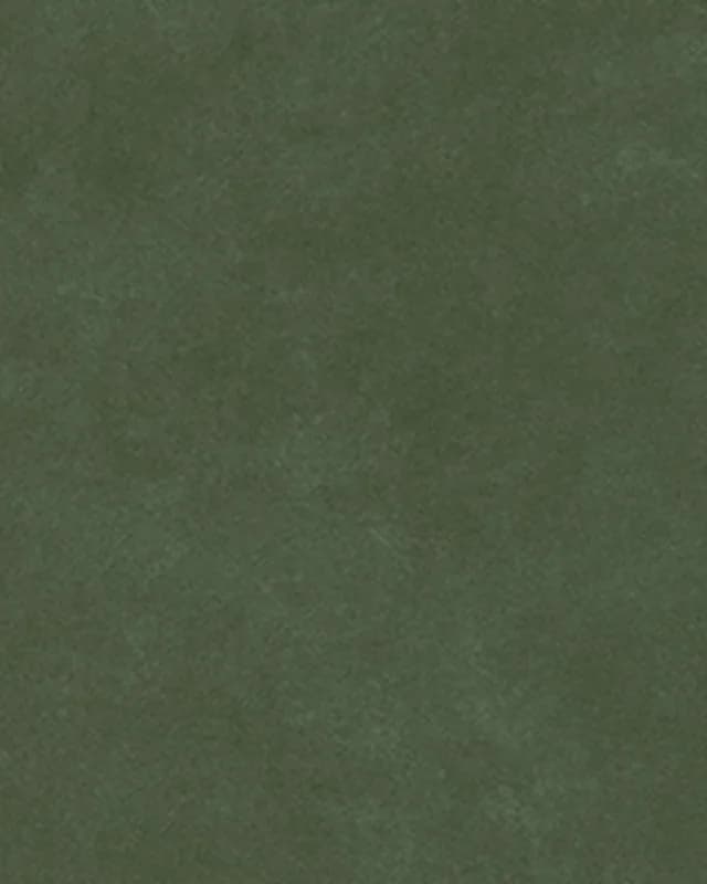 Pigmenta Olive